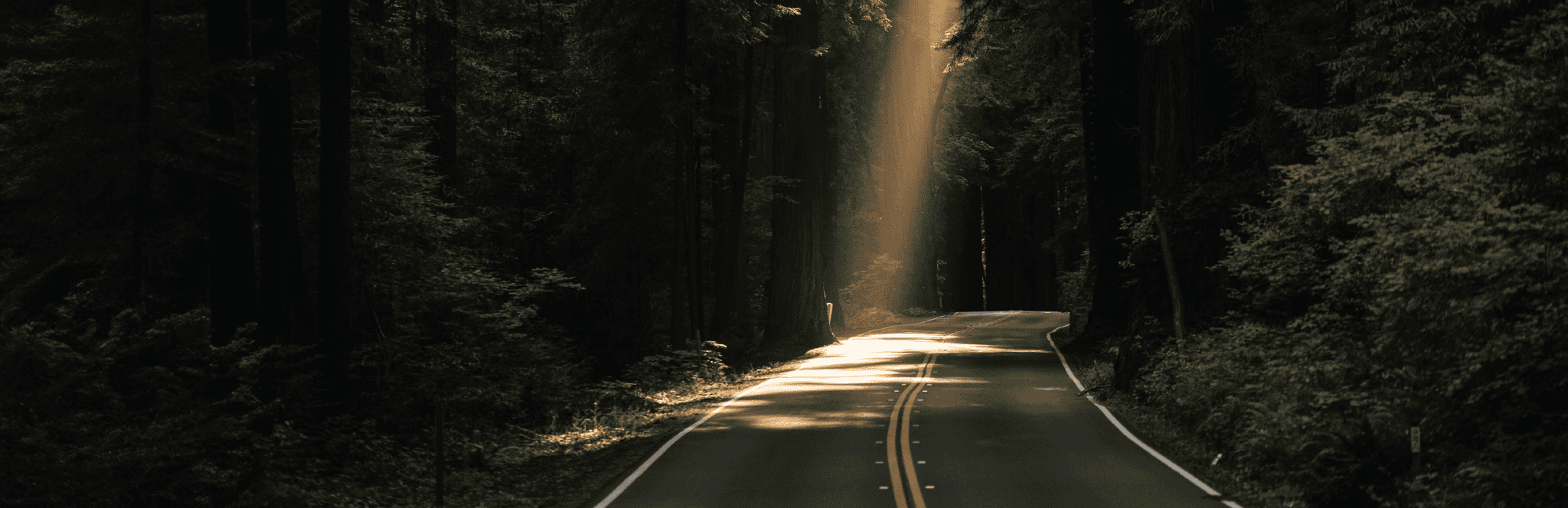 Fin de vie du LCMS-1